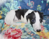 processed/77d22939-d4aa-4257-81c7-a37576a086f7/listing/67414ac0-d1ec-4887-a5c4-8a569ad1a3ea/d5a53163-a7d9-4875-b3c7-826579da0fa3