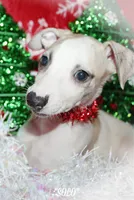 processed/77d22939-d4aa-4257-81c7-a37576a086f7/listing/7099aa69-0b87-45c4-9564-013c9be2b69f/e7a8c8e6-58f9-4b9e-a0ab-23cc8fc86c81