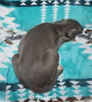 processed/77d22939-d4aa-4257-81c7-a37576a086f7/listing/861fbd40-9e66-4c8c-bf25-30b2b73d3f77/149e5a40-eeb7-42b3-8a0a-3be054620ad7