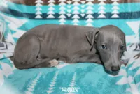 processed/77d22939-d4aa-4257-81c7-a37576a086f7/listing/861fbd40-9e66-4c8c-bf25-30b2b73d3f77/1ad49451-501b-4d1e-9e91-b49fff02ffcf