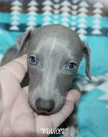 processed/77d22939-d4aa-4257-81c7-a37576a086f7/listing/861fbd40-9e66-4c8c-bf25-30b2b73d3f77/8c3ac89a-8b68-4f5a-8e9b-4c5f8e07ee5d