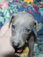 processed/77d22939-d4aa-4257-81c7-a37576a086f7/listing/861fbd40-9e66-4c8c-bf25-30b2b73d3f77/98d1d2d0-7bf3-46fc-b69a-af85928da313