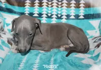 processed/77d22939-d4aa-4257-81c7-a37576a086f7/listing/861fbd40-9e66-4c8c-bf25-30b2b73d3f77/dacdcb2a-8465-482d-92e8-06477059504f