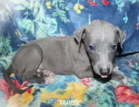 processed/77d22939-d4aa-4257-81c7-a37576a086f7/listing/861fbd40-9e66-4c8c-bf25-30b2b73d3f77/dcf5ae36-7911-4f69-9b92-97e42b9216bf