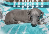 processed/77d22939-d4aa-4257-81c7-a37576a086f7/listing/861fbd40-9e66-4c8c-bf25-30b2b73d3f77/e917c6b6-3f22-4594-ae58-0a51bf832296