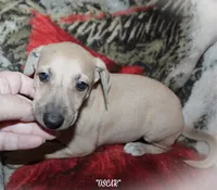 processed/77d22939-d4aa-4257-81c7-a37576a086f7/listing/cb2f9b3c-659c-4ed7-85e0-82cdebc7704a/2b582335-34be-496e-b251-e1725a116ba4