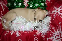 processed/77d22939-d4aa-4257-81c7-a37576a086f7/listing/cb2f9b3c-659c-4ed7-85e0-82cdebc7704a/96133c20-342a-4dc4-9410-40e317d52d17