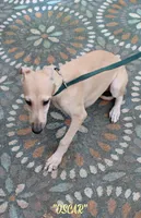 processed/77d22939-d4aa-4257-81c7-a37576a086f7/listing/cb2f9b3c-659c-4ed7-85e0-82cdebc7704a/ab00ff95-181a-4efb-881d-3693cf30b44a