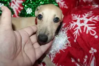 processed/77d22939-d4aa-4257-81c7-a37576a086f7/listing/cb2f9b3c-659c-4ed7-85e0-82cdebc7704a/c73ee550-a02b-4953-9ee6-eb8193a2b705