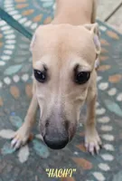 processed/77d22939-d4aa-4257-81c7-a37576a086f7/listing/e10da527-5cdf-4544-89f3-153055d294f9/121599f1-584c-4048-81c3-f7bb94e45ad9