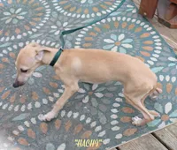 processed/77d22939-d4aa-4257-81c7-a37576a086f7/listing/e10da527-5cdf-4544-89f3-153055d294f9/88edfd3b-3a21-49c7-86ca-83276cd1e138