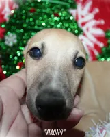 processed/77d22939-d4aa-4257-81c7-a37576a086f7/listing/e10da527-5cdf-4544-89f3-153055d294f9/b9ea74ce-ebb5-41ab-8db1-19ce345b664f