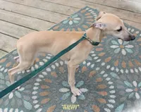 processed/77d22939-d4aa-4257-81c7-a37576a086f7/listing/e10da527-5cdf-4544-89f3-153055d294f9/d63f7b46-6c9d-44b9-8e28-3d2c3539097a