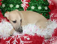 processed/77d22939-d4aa-4257-81c7-a37576a086f7/listing/e10da527-5cdf-4544-89f3-153055d294f9/e2bc775b-8433-4434-ba01-65e0956dd9a7