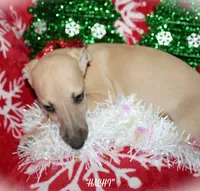 processed/77d22939-d4aa-4257-81c7-a37576a086f7/listing/e10da527-5cdf-4544-89f3-153055d294f9/f3a16298-02ec-4a51-b2e6-74c4d102fc2d