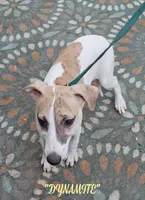 processed/77d22939-d4aa-4257-81c7-a37576a086f7/listing/f5e913b8-d0f4-4d52-9058-1feee0068a49/10f49bde-39e8-4883-afa9-ffb743389105