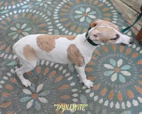 processed/77d22939-d4aa-4257-81c7-a37576a086f7/listing/f5e913b8-d0f4-4d52-9058-1feee0068a49/916dbce1-c773-45b5-990e-a00fd5471722