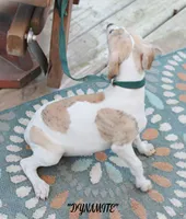 processed/77d22939-d4aa-4257-81c7-a37576a086f7/listing/f5e913b8-d0f4-4d52-9058-1feee0068a49/9bda2174-64e9-402e-9123-81e0d56a4a89