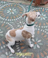 processed/77d22939-d4aa-4257-81c7-a37576a086f7/listing/f5e913b8-d0f4-4d52-9058-1feee0068a49/aa8ac945-e801-4400-9a7e-9739c0e58c30