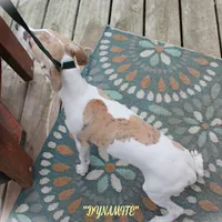 processed/77d22939-d4aa-4257-81c7-a37576a086f7/listing/f5e913b8-d0f4-4d52-9058-1feee0068a49/b589c540-bf4b-4945-ae4c-34699b53a3b4