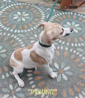 processed/77d22939-d4aa-4257-81c7-a37576a086f7/listing/f5e913b8-d0f4-4d52-9058-1feee0068a49/ce467ec5-0a90-427c-9c3a-65ba2cc65239