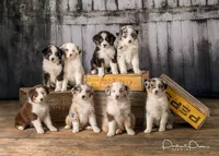 processed/77d6f3e4-c4ea-4467-8c5e-824167c92c63/facility/3caa64ef-ab43-4832-b2a9-adb07d826a50