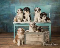 processed/77d6f3e4-c4ea-4467-8c5e-824167c92c63/facility/4f5e17ca-38d5-4cb2-a588-8b4ba4e1b013