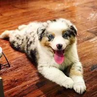 processed/77d6f3e4-c4ea-4467-8c5e-824167c92c63/facility/56676c60-f448-4084-91b3-8f26b01093fe