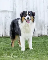 processed/77d6f3e4-c4ea-4467-8c5e-824167c92c63/facility/7e6025cb-7dcc-4991-9c8d-224a9513a07b