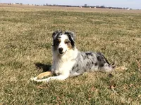 processed/77d6f3e4-c4ea-4467-8c5e-824167c92c63/facility/b83b1295-25fb-46fb-818d-ca90f6fcd5f4