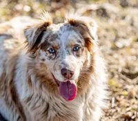 processed/77d6f3e4-c4ea-4467-8c5e-824167c92c63/facility/f13ddc33-4841-49a2-8c83-a12005ffb539