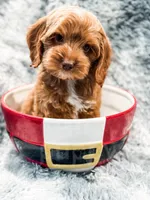 processed/77da9587-a459-430b-a55f-7b0548061657/listing/e9b1c9c3-9521-4f0e-b8f2-0e8cc7e19836/1749c948-38b5-4fc0-ad33-1901b874310e