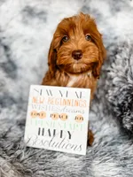 processed/77da9587-a459-430b-a55f-7b0548061657/listing/e9b1c9c3-9521-4f0e-b8f2-0e8cc7e19836/7052ae21-98f6-4597-8d2e-cb7cc6f11ee9