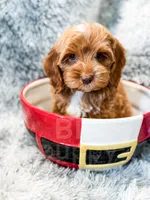 processed/77da9587-a459-430b-a55f-7b0548061657/listing/e9b1c9c3-9521-4f0e-b8f2-0e8cc7e19836/ff007f1f-be86-4d7f-bece-ed65bb589678