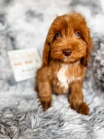 processed/77da9587-a459-430b-a55f-7b0548061657/listing/e9b1c9c3-9521-4f0e-b8f2-0e8cc7e19836/ffefa036-3e06-4a00-8a4b-21c6fa6b13ec