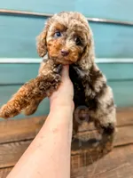 processed/77da9587-a459-430b-a55f-7b0548061657/listing/eb128fce-ce85-4bf9-8ebb-7c15a95fba52/3d9150f1-d7e1-4f09-b046-361a933dc822