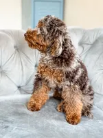 processed/77da9587-a459-430b-a55f-7b0548061657/listing/eb128fce-ce85-4bf9-8ebb-7c15a95fba52/52142796-4a22-4540-bba8-32e46e075fe4