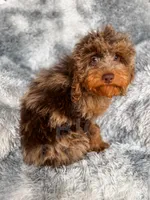 processed/77da9587-a459-430b-a55f-7b0548061657/listing/eb128fce-ce85-4bf9-8ebb-7c15a95fba52/71faf99c-9400-491e-b6b8-a18c49008f23