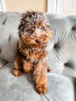 processed/77da9587-a459-430b-a55f-7b0548061657/listing/eb128fce-ce85-4bf9-8ebb-7c15a95fba52/823621e6-c6f0-497b-8117-67687183a82b