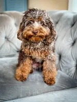 processed/77da9587-a459-430b-a55f-7b0548061657/listing/eb128fce-ce85-4bf9-8ebb-7c15a95fba52/a0799ced-89eb-49b3-9fcf-05a9e6758527