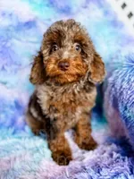 processed/77da9587-a459-430b-a55f-7b0548061657/listing/eb128fce-ce85-4bf9-8ebb-7c15a95fba52/b6f9e3a7-4a4c-42d3-9179-aa30098e8f91