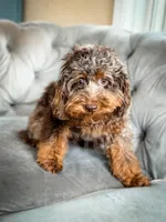 processed/77da9587-a459-430b-a55f-7b0548061657/listing/eb128fce-ce85-4bf9-8ebb-7c15a95fba52/d63502ef-a694-48e2-b4a5-ade49b27f5e9