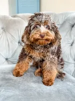 processed/77da9587-a459-430b-a55f-7b0548061657/listing/eb128fce-ce85-4bf9-8ebb-7c15a95fba52/d8e31622-2b20-4020-a263-246a3582014f