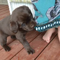 processed/77dbec85-72ab-4230-9505-024591cdf4f3/facility/66ca59cf-b491-4368-b400-8a60c0e12ec6