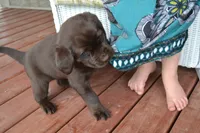 processed/77dbec85-72ab-4230-9505-024591cdf4f3/facility/66ca59cf-b491-4368-b400-8a60c0e12ec6