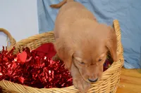 processed/77dbec85-72ab-4230-9505-024591cdf4f3/listing/1c01d853-ba79-4aaf-8b09-09c6b51895a0/2bd96d5e-1e59-4f8b-b0a9-0623ca0deb86