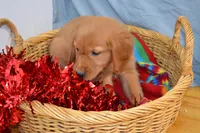 processed/77dbec85-72ab-4230-9505-024591cdf4f3/listing/1c01d853-ba79-4aaf-8b09-09c6b51895a0/7bc20a8c-8c3d-411b-8bc1-07add1c3b2ed