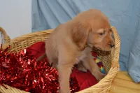 processed/77dbec85-72ab-4230-9505-024591cdf4f3/listing/1c01d853-ba79-4aaf-8b09-09c6b51895a0/9c28807f-e6a0-4e1d-8c31-c8804dcdb6c3