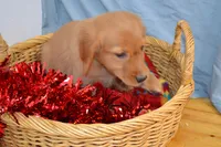 processed/77dbec85-72ab-4230-9505-024591cdf4f3/listing/1c01d853-ba79-4aaf-8b09-09c6b51895a0/b31fd9d2-2a63-460a-b5ab-14abdac5b964