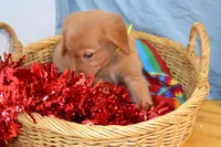 processed/77dbec85-72ab-4230-9505-024591cdf4f3/listing/1c01d853-ba79-4aaf-8b09-09c6b51895a0/f3320b40-4a61-4014-909a-aa61c6b1f3a3